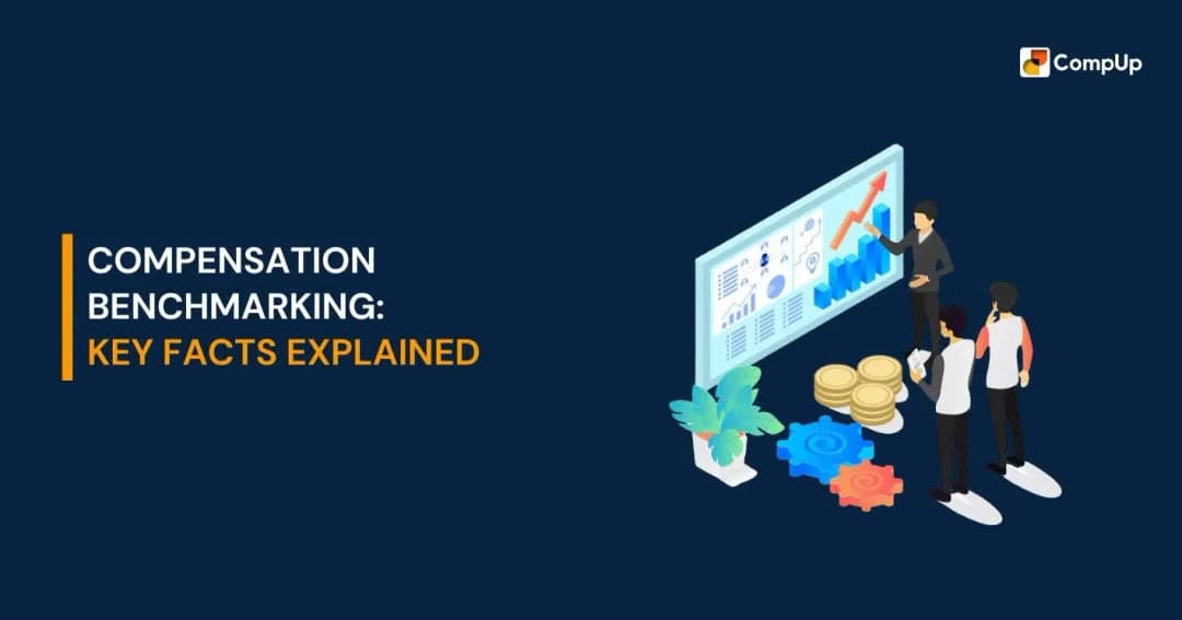 What Is Compensation Benchmarking? Everything You Need To Know